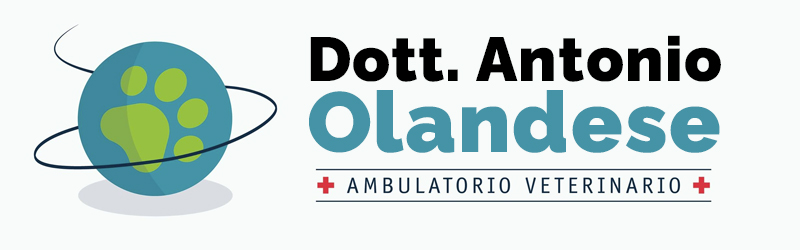 Dott. Antonio Olandese | Ambulatorio Veterinario Ferrara Occhiobello Rovigo